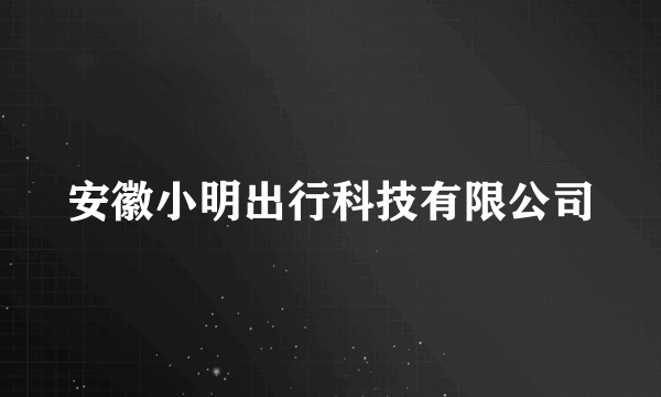 安徽小明出行科技有限公司