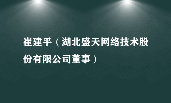 崔建平（湖北盛天网络技术股份有限公司董事）