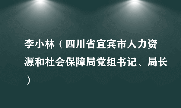 李小林（四川省宜宾市人力资源和社会保障局党组书记、局长）