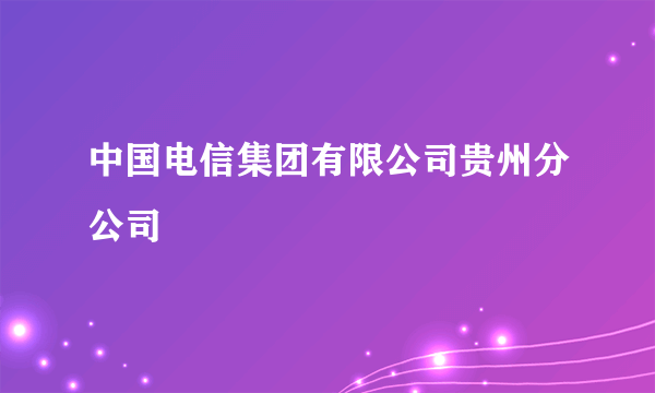 中国电信集团有限公司贵州分公司