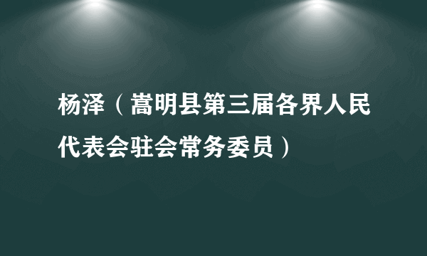 杨泽（嵩明县第三届各界人民代表会驻会常务委员）