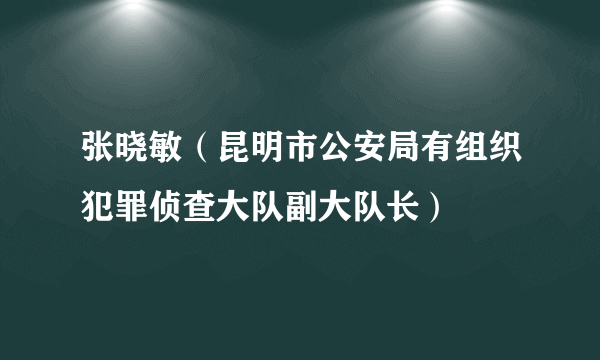 张晓敏（昆明市公安局有组织犯罪侦查大队副大队长）