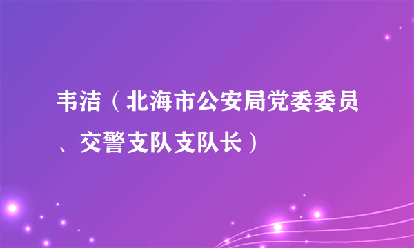 韦洁（北海市公安局党委委员、交警支队支队长）