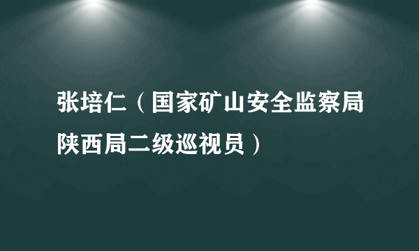 张培仁（国家矿山安全监察局陕西局二级巡视员）