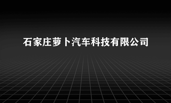 石家庄萝卜汽车科技有限公司