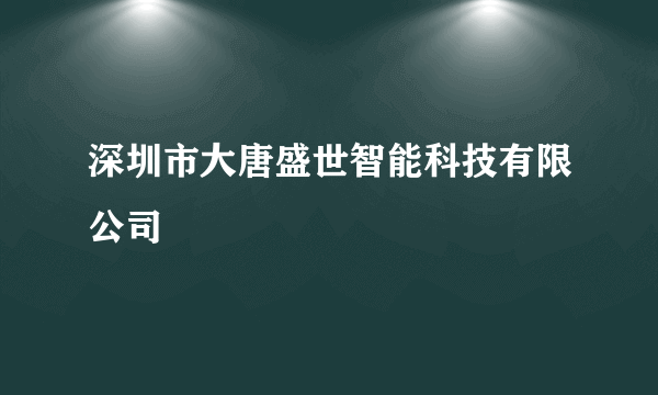 深圳市大唐盛世智能科技有限公司