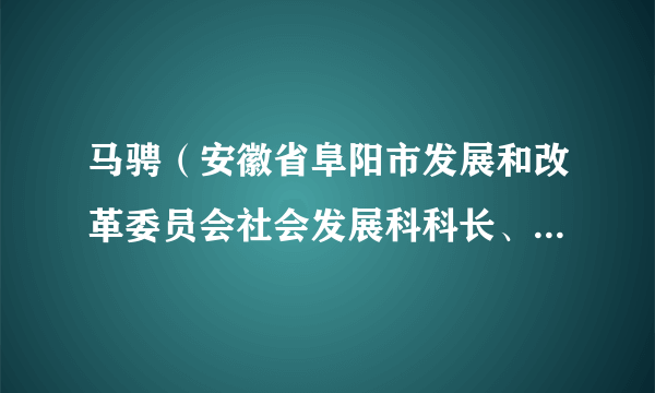 马骋（安徽省阜阳市发展和改革委员会社会发展科科长、四级调研员）