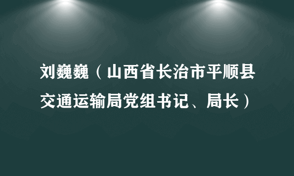 刘巍巍（山西省长治市平顺县交通运输局党组书记、局长）