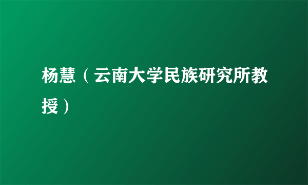 杨慧（云南大学民族研究所教授）