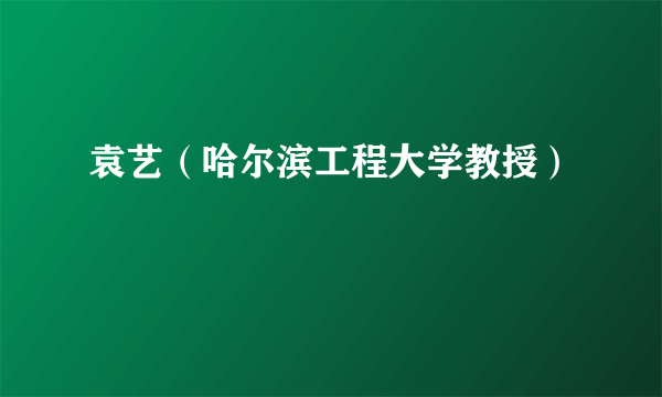 袁艺（哈尔滨工程大学教授）