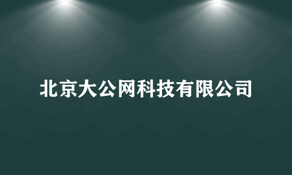 北京大公网科技有限公司