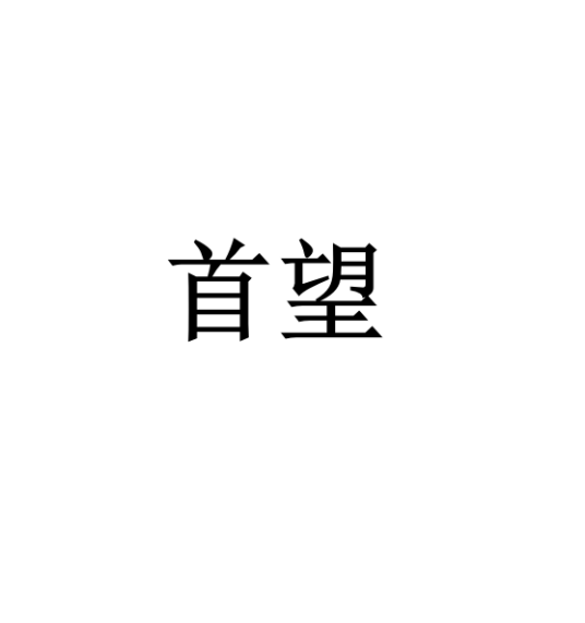 首望（影音品牌）