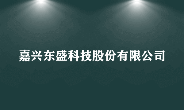 嘉兴东盛科技股份有限公司