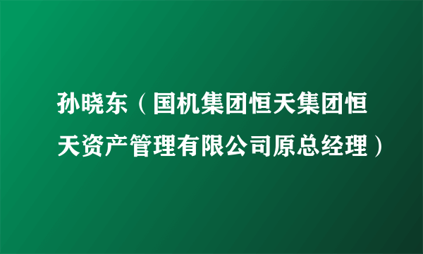 孙晓东（国机集团恒天集团恒天资产管理有限公司原总经理）