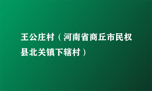 王公庄村（河南省商丘市民权县北关镇下辖村）