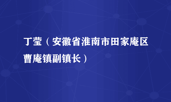 丁莹（安徽省淮南市田家庵区曹庵镇副镇长）