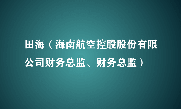 田海（海南航空控股股份有限公司财务总监、财务总监）