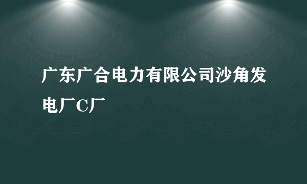 广东广合电力有限公司沙角发电厂C厂