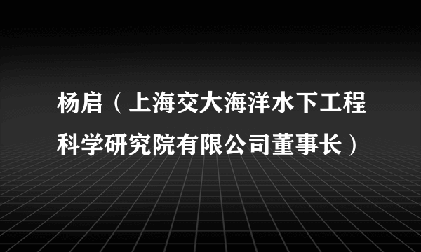 杨启（上海交大海洋水下工程科学研究院有限公司董事长）