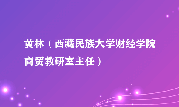 黄林（西藏民族大学财经学院商贸教研室主任）