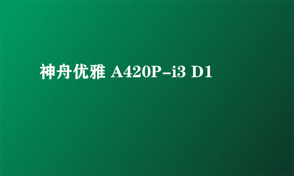 神舟优雅 A420P-i3 D1