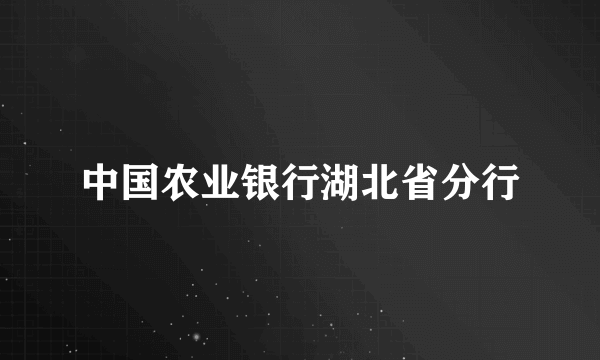 中国农业银行湖北省分行