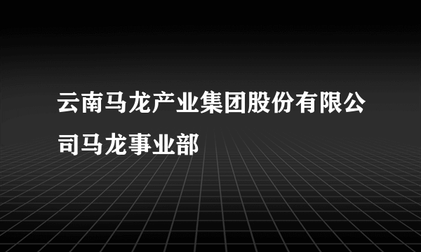 云南马龙产业集团股份有限公司马龙事业部