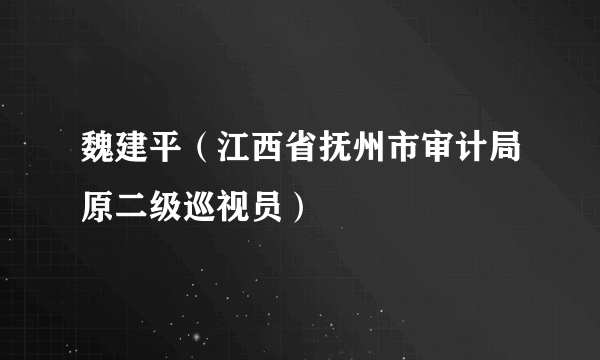 魏建平（江西省抚州市审计局原二级巡视员）