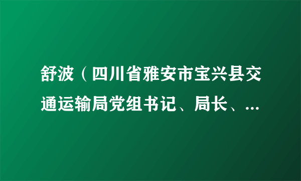 舒波（四川省雅安市宝兴县交通运输局党组书记、局长、县交通综合行政执法大队大队长）