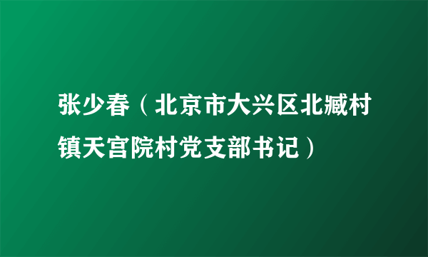 张少春（北京市大兴区北臧村镇天宫院村党支部书记）