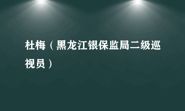 杜梅（黑龙江银保监局二级巡视员）