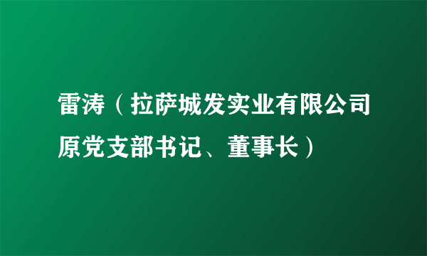 雷涛（拉萨城发实业有限公司原党支部书记、董事长）