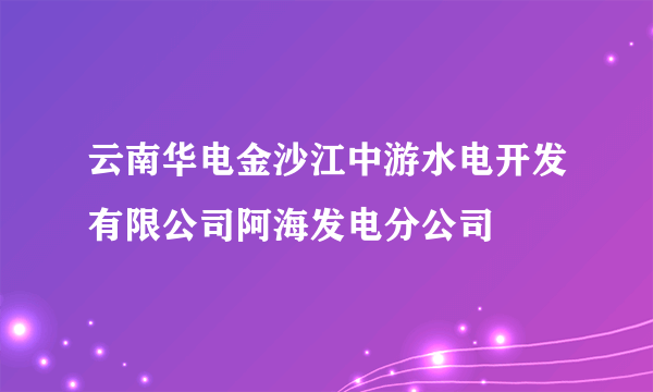 云南华电金沙江中游水电开发有限公司阿海发电分公司