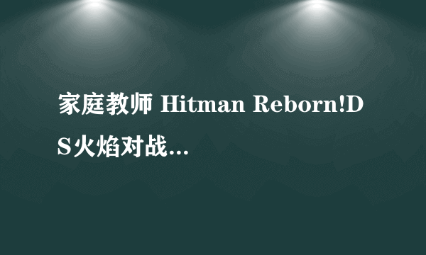 家庭教师 Hitman Reborn!DS火焰对战X 未来超爆发（Takaratomy发行的一款游戏）