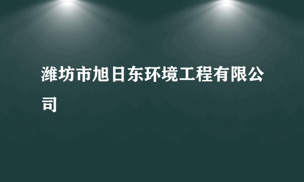 潍坊市旭日东环境工程有限公司