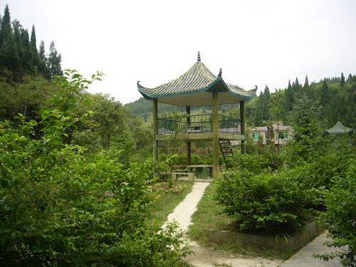 东山森林公园（苏州东山森林公园）