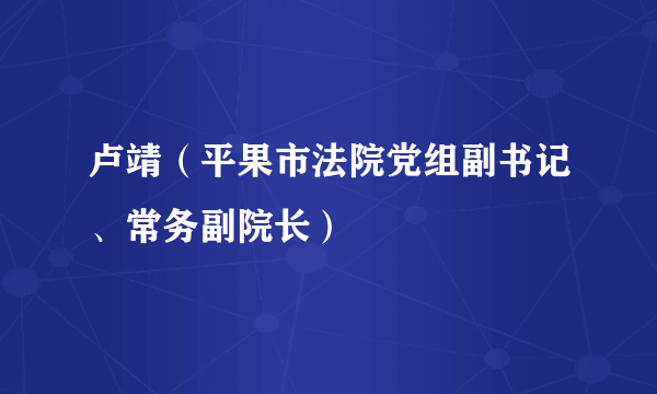 卢靖（平果市法院党组副书记、常务副院长）