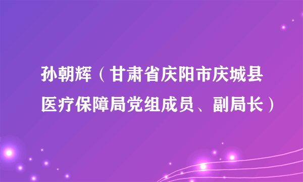 孙朝辉（甘肃省庆阳市庆城县医疗保障局党组成员、副局长）