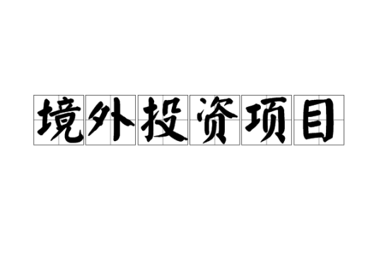 境外投资项目