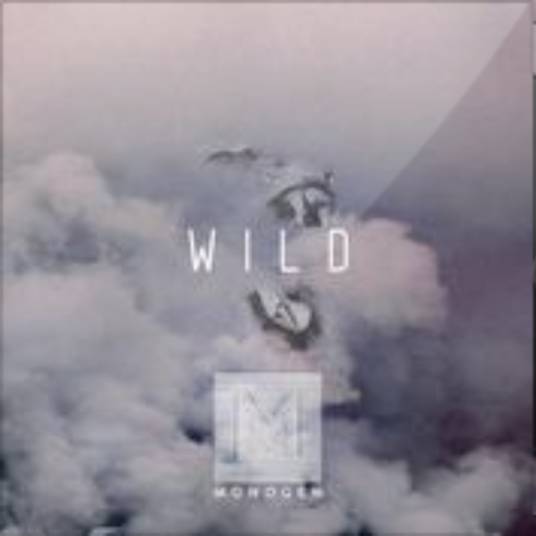 wild（Monogem演唱歌曲）