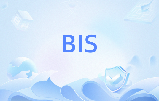 BIS（网络技术）