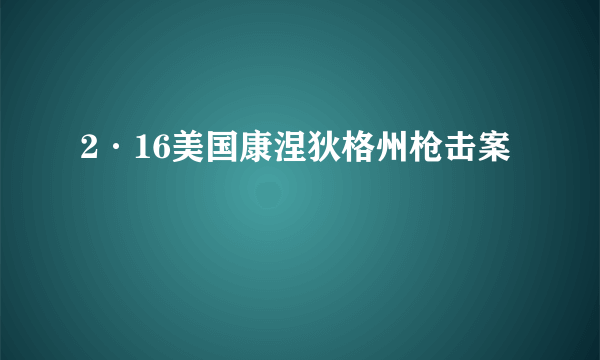 2·16美国康涅狄格州枪击案