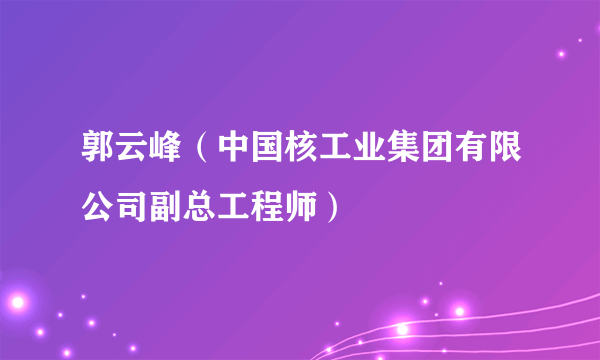 郭云峰（中国核工业集团有限公司副总工程师）