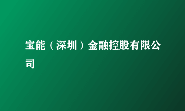 宝能（深圳）金融控股有限公司