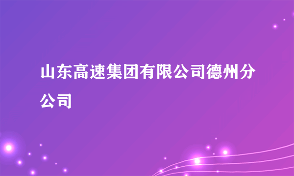 山东高速集团有限公司德州分公司