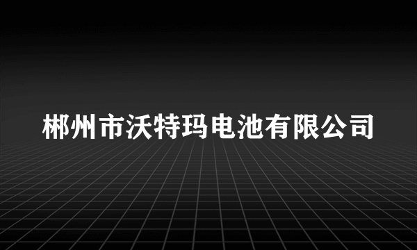 郴州市沃特玛电池有限公司