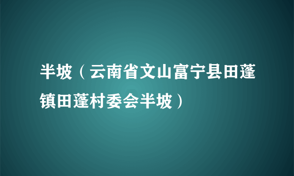 半坡（云南省文山富宁县田蓬镇田蓬村委会半坡）