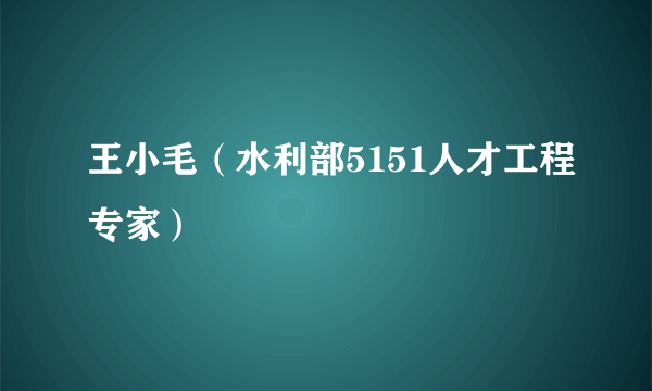 王小毛（水利部5151人才工程专家）