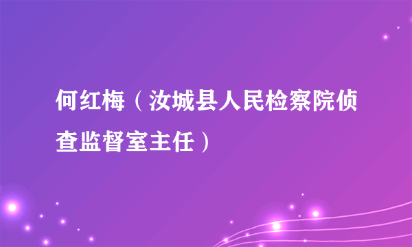 何红梅（汝城县人民检察院侦查监督室主任）