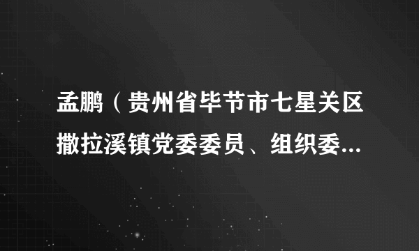 孟鹏（贵州省毕节市七星关区撒拉溪镇党委委员、组织委员、宣传委员、人大副主席）